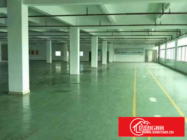 标准楼房一楼1500平方，可分租，500起租