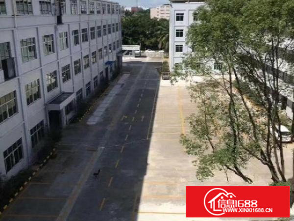 寮步镇新出原房东分租一楼1200平方