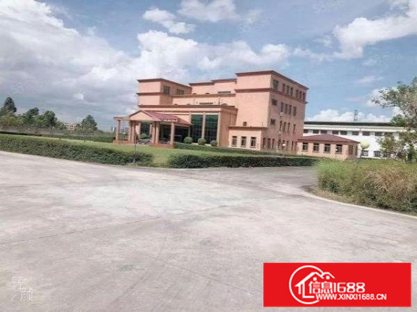 大岭山带红本单一层面积6500平方4000平方厂房出租