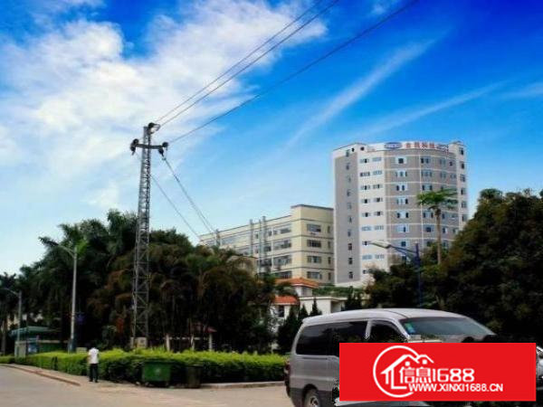 出租龙华区金凯科技园B401，350㎡