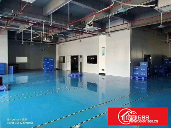 无尘车间标准装修厂房，距离深圳一步之遥