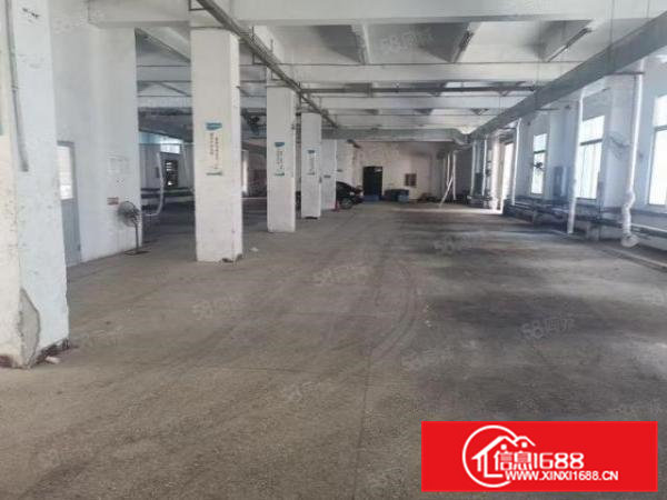 原房东独门独院标准三层厂房出租,现成塑料环评,可分租