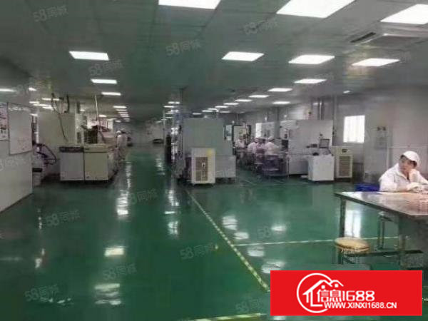 寮步西溪旺地段独院标准厂房5000平方招租，价格实惠