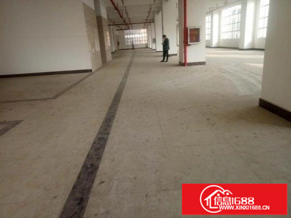 布吉上李郎119层每层2180平方出租