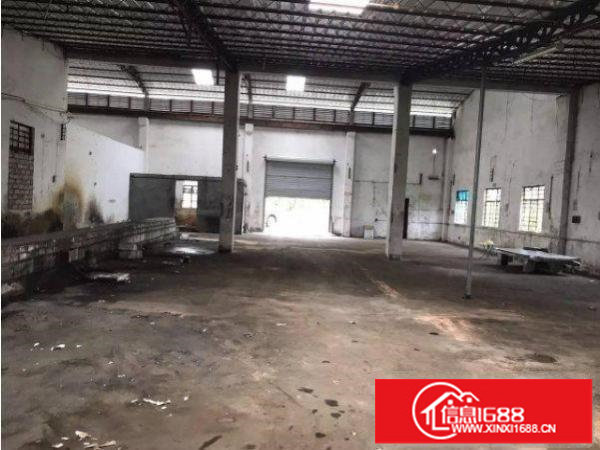 龙岗区坪地新出钢构独院厂房1000平方平价招租