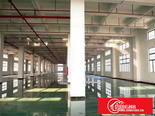 原房东带地坪漆可办环评带喷淋红本标准厂房