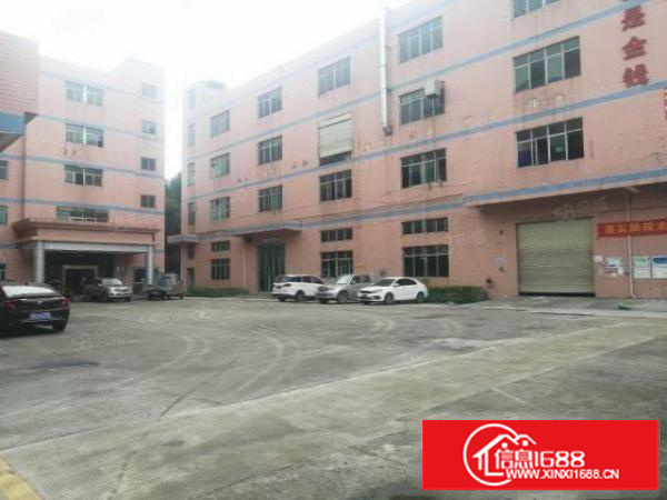 观澜桂花新出楼上600平方带装修厂房出租