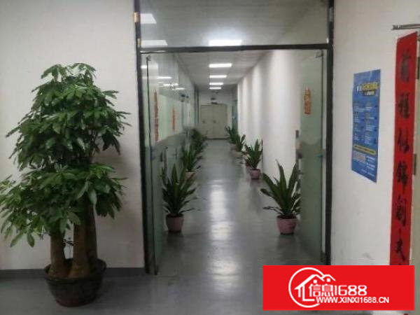 光明楼上1500平方精装修