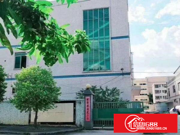 凤岗楼上出租400平方现成办公室拎包入住