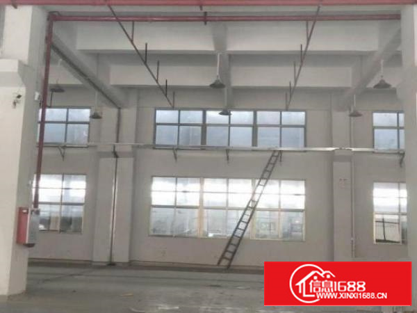 东莞石排石龙企石横沥茶山园洲