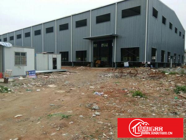 沥林金达伟工业园滴水高8米钢构厂房1650平方招租