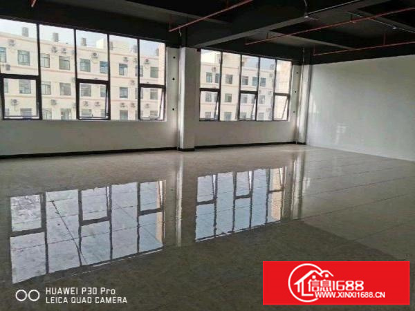 丹竹头红棉路仓库1000平米