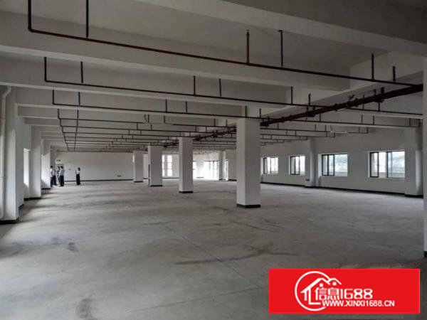 蛟乙塘工业区新出2500平原房东独门独院厂房出租电商仓库分租