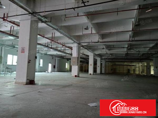 寮步下岭贝新空出独门独院标准厂房出租整层2665平，拎包入住