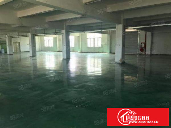 福永工业区精装厂房800平方出租无转让费三楼