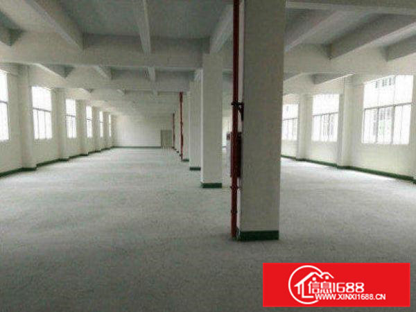 清溪上元花园式独院厂房3000平米水电到位