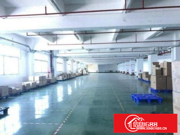 狮山石碣1楼1000平精装修厂房分租