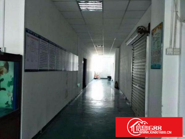 精装修实用面积1200平3楼出租坪山石井厂房