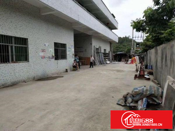 惠州大亚湾不限行业950平钢构送空地800平