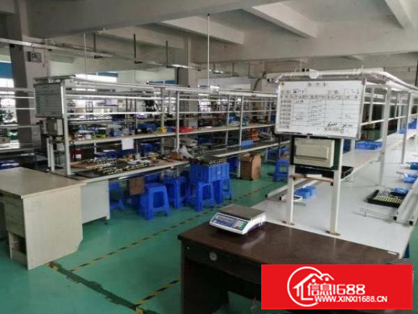 龙岗中心城独门独院厂房4500平米可分租