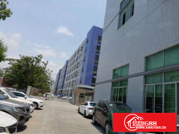 两天必租东坑650平实际面积原房东厂房精装修工业用地