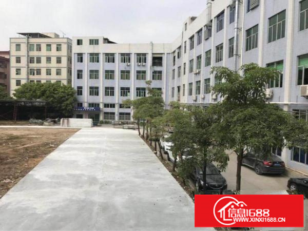 新墟24300平独院，带精装修，可做污染行业