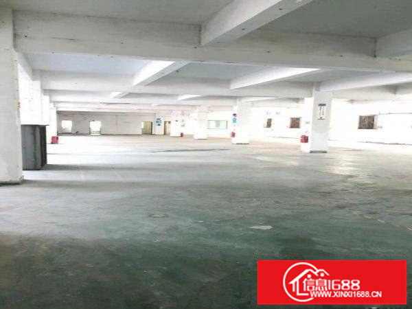 直租，布吉康桥1000平厂房出租，物流配送，画框加工等