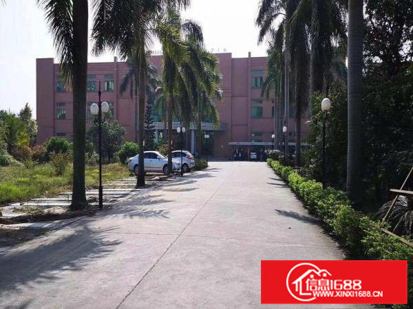 常平镇（新出厂房独门独院）4层楼共10000平可分租