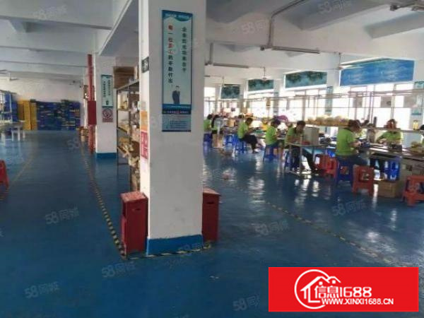 龙岗五联新出独院3层4000平米厂房出租可分租