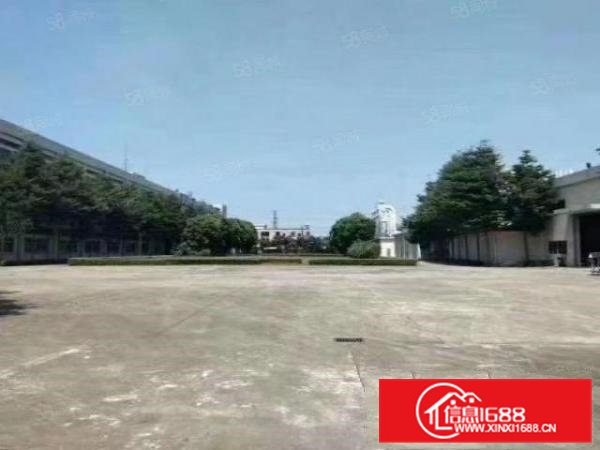 桥头大洲原房东独门独院17000平方10年合同