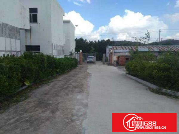 坪山大工业区新出滴水11米钢构厂房5000平方