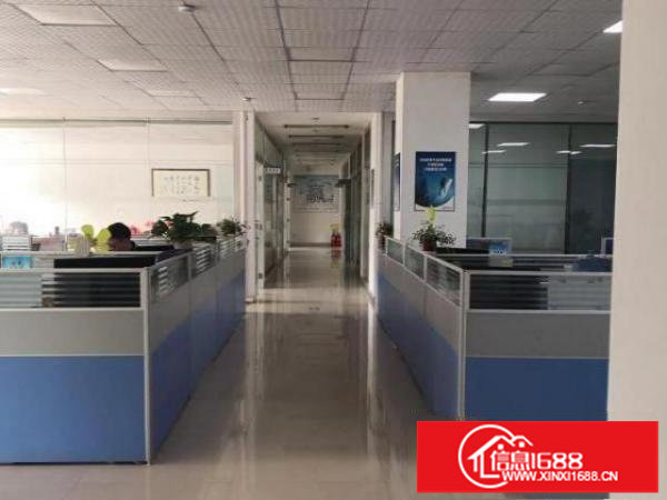 村委厂房分租一楼800平米出租厂房形象高大上，园区空地大