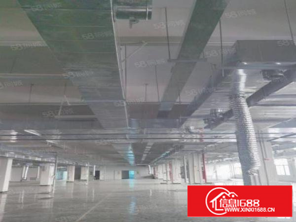 新出茶山原房东一楼2000平方高度6米形象好。易招工