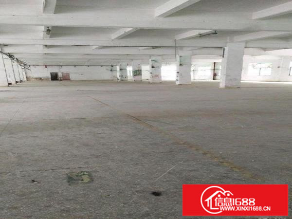 龙岗中心城南联独院厂房招租6000平米可分租