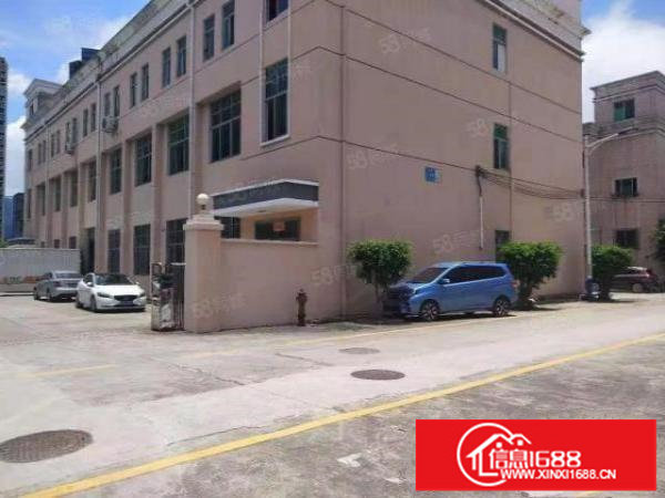 坪山碧岭新空出独院厂房3900平方，可按层分租，合同5年