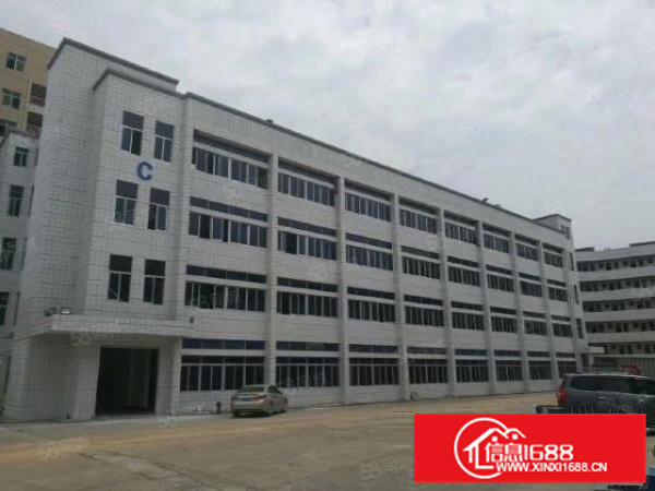 常平新出标准厂房楼上2200平方出租带喷淋消防