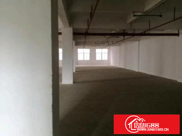 坂田雪象全新装修厂房360平单层急租