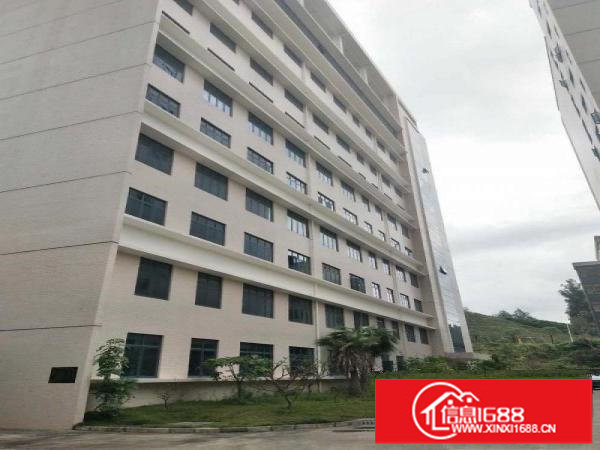 坂田原房东办公仓库1500平，全新地平漆，采光通透，可分租