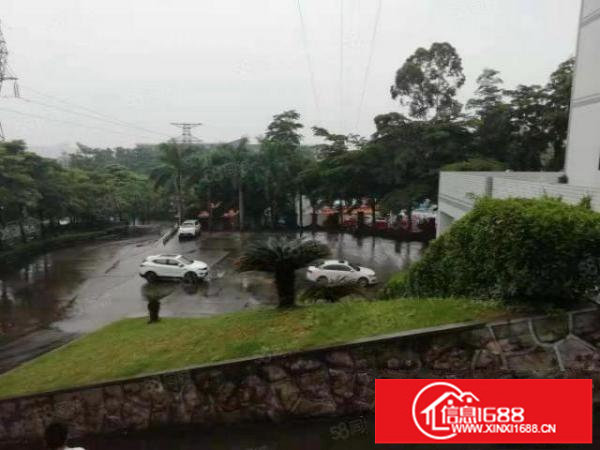 龙岗中心城爱联嶂背工业区一楼厂房1200平报价25元可分租