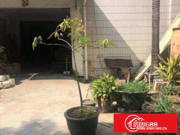 虎门北栅一楼独院厂房，可用作仓库。