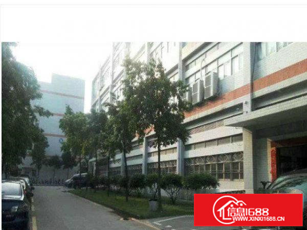 常平司马村楼上900平米带装修厂房直租配套齐全