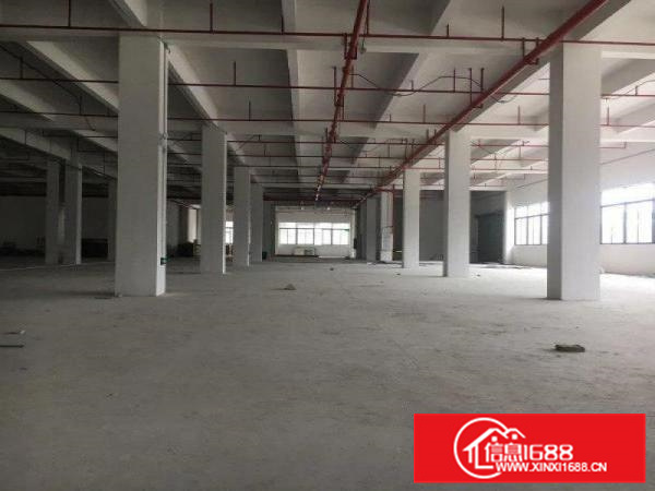 可办环评，容桂独院1000方标准厂，配电大