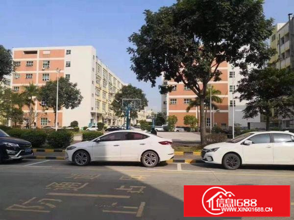 沙井新桥第三工业区新出楼上精装修厂房1300平米