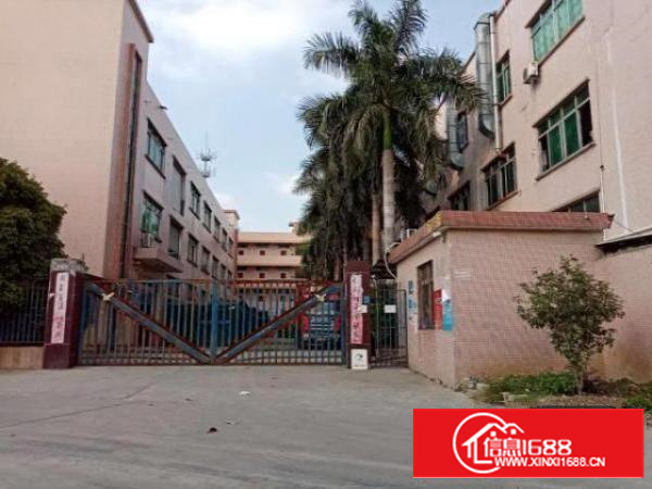 出租石排镇1000平方厂房带地坪漆，可分租，形象好，位置好