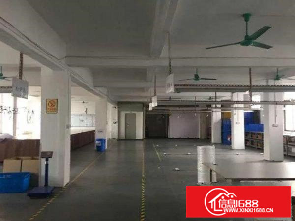 虎门南栅二楼新出一带装修厂房1000平方，无转让费