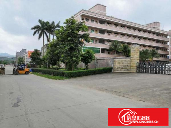 惠阳新圩独门独院红本标准厂房一楼1580平出租