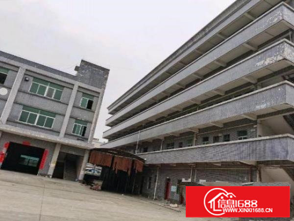 寮步镇原房东独院招租，带红本国土证！