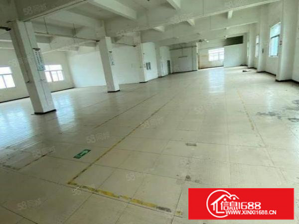 塘厦振兴围独院标准3楼980平方！全层地板砖办公室精装修