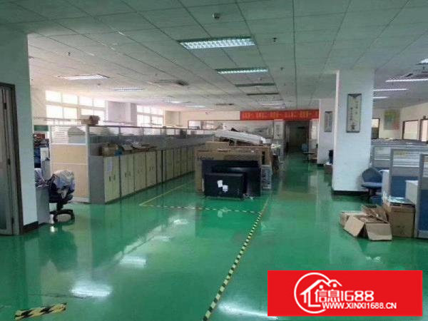 豪华装修！现成办公室！坪山碧岭新出楼上1000平红本厂房