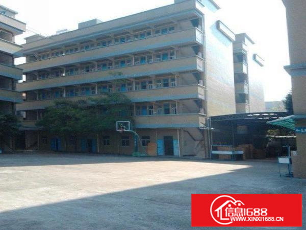 大芬一楼3000平。500平分租，适合展厅，电商，重加工